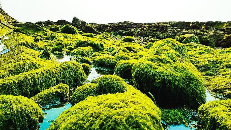 Los acantilados rocosos cubiertos de musgo crean escenas misteriosas.