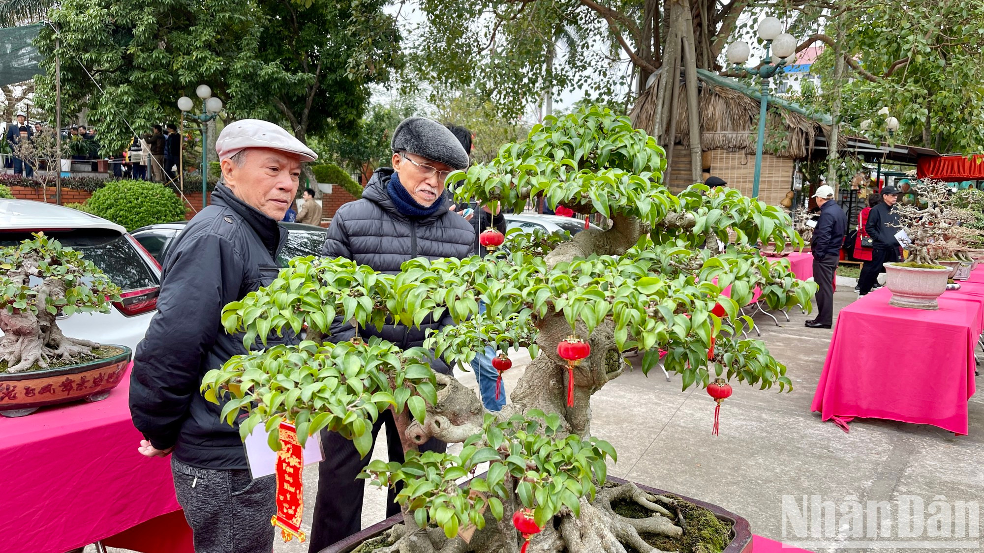 Un espacio que exhibe bonsái y plantas ornamentales de la primavera. Un espacio que exhibe bonsái y plantas ornamentales de la primavera.