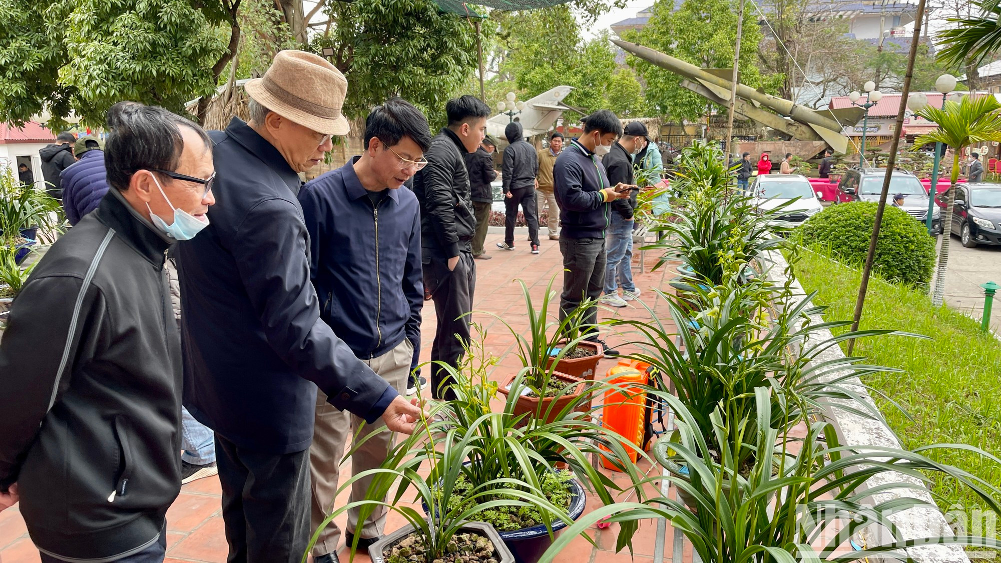 En el evento se exhibe una gran cantidad de especies de orquídeas. En el evento se exhibe una gran cantidad de especies de orquídeas.