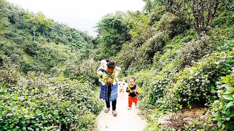 Un niño sigue a su madre al campo. Un niño sigue a su madre al campo.