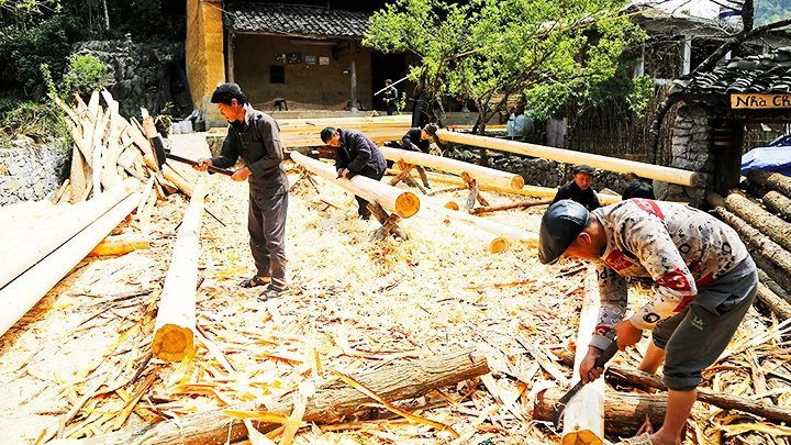 Los H'Mong se ayudan mutuamente a construir casas nuevas.