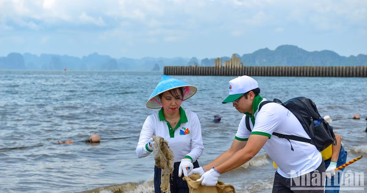 Vietnam-Unión Europea: Unir esfuerzos por un medio ambiente limpio