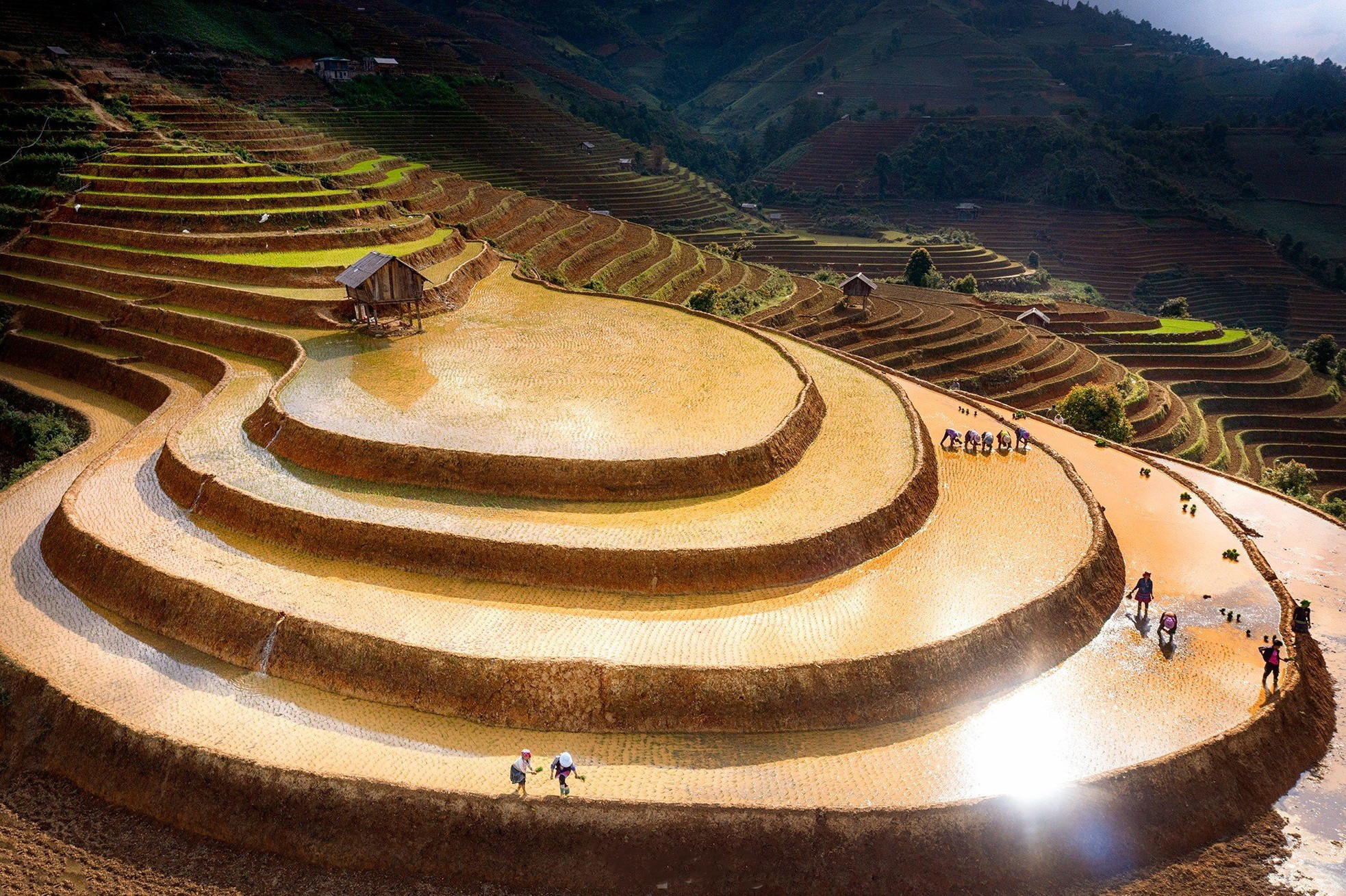 Mu Cang Chai fue elegido uno de los 10 campos en terrazas más hermosos del mundo.