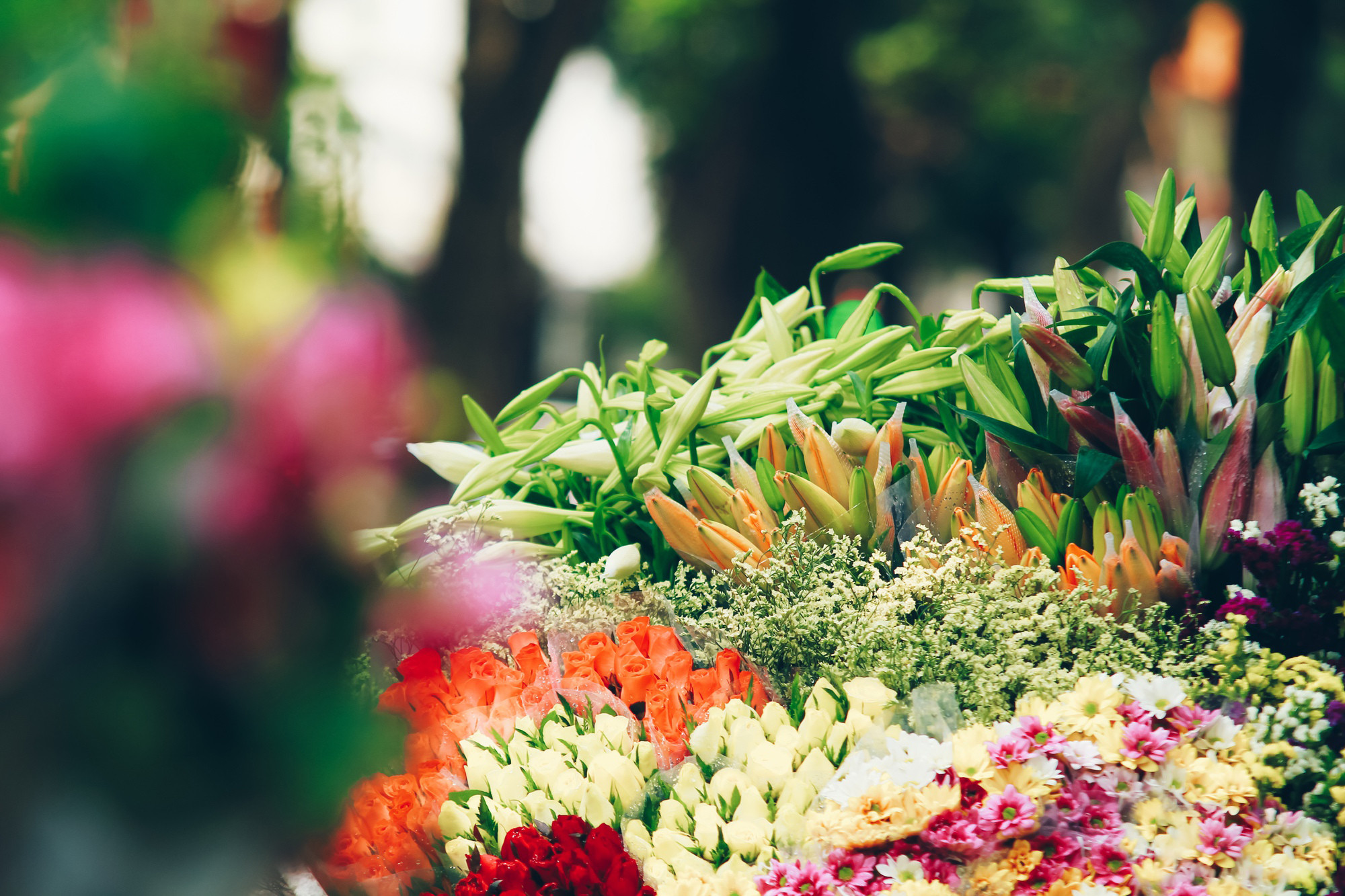 Las bicis de flores siempre evocan bellas emociones a los hanoyenses. Las bicis de flores siempre evocan bellas emociones a los hanoyenses.