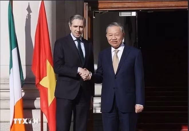 El secretario general del PCV y presidente de Vietnam, To Lam, y el primer ministro irlandés Simon Harris. (Foto: VNA)