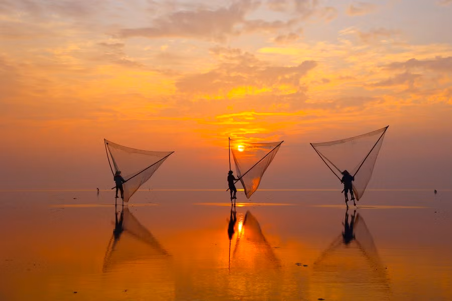 Los madrugadores recolectan almejas y ensis magnus antes de la salida del sol. Los madrugadores recolectan almejas y ensis magnus antes de la salida del sol.