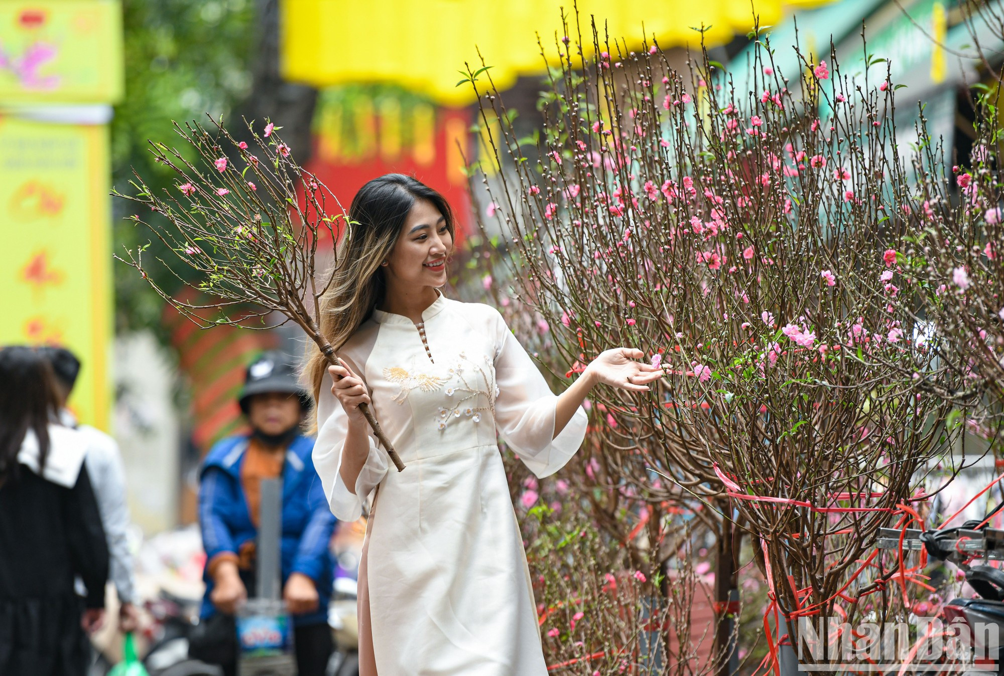 Para los hanoyenses, contemplar las flores en la calle Hang Luoc cada primavera es una experiencia elegante.