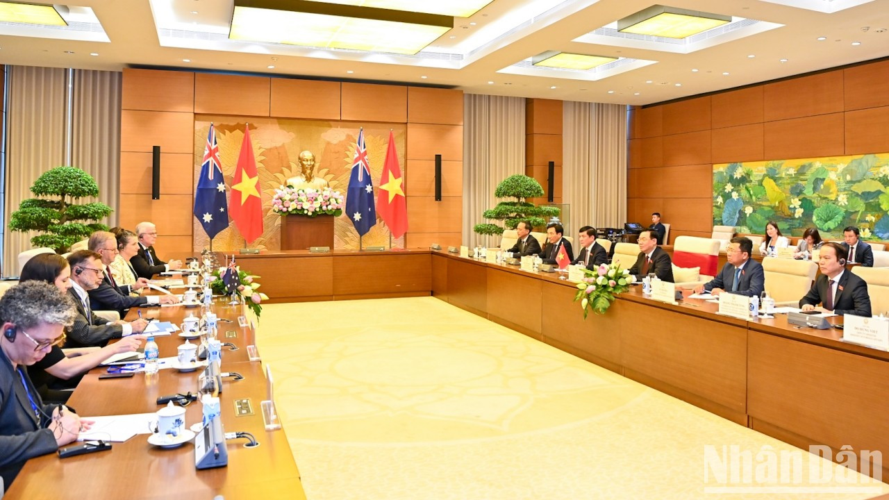 Panorama del encuentro. Panorama del encuentro.