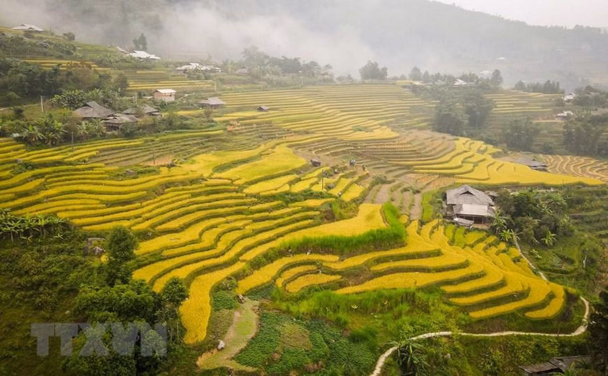 El final de agosto y el comienzo de septiembre del calendario lunar también es un período ideal para que los visitantes extranjeros admiren los campos en terrazas cuando llegan a esta tierra alta del país indochino. (Foto: VNA)