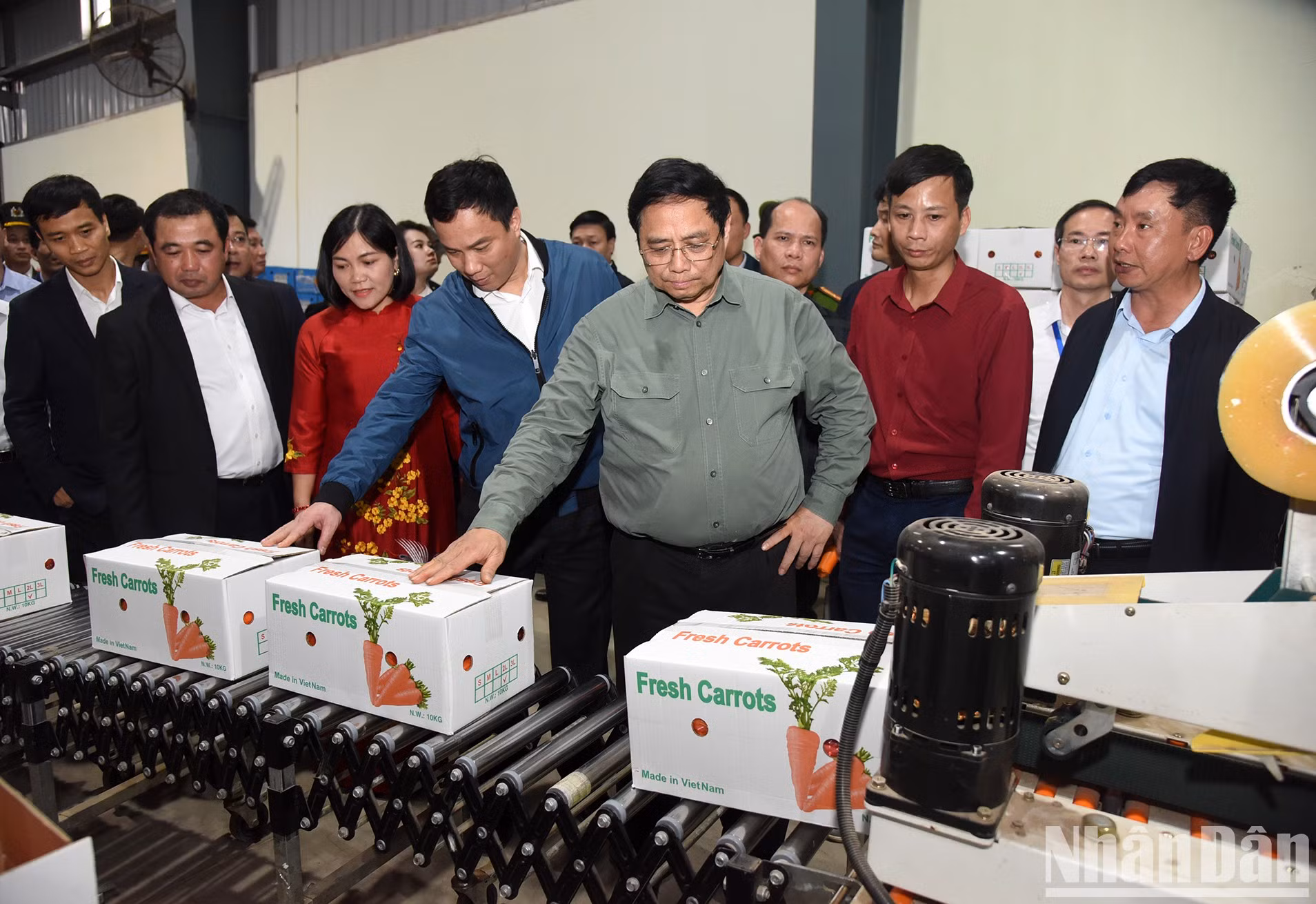 Minh Chinh visita la Cooperativa Duc Chinh, una instalación de procesamiento y envasado de zanahorias.