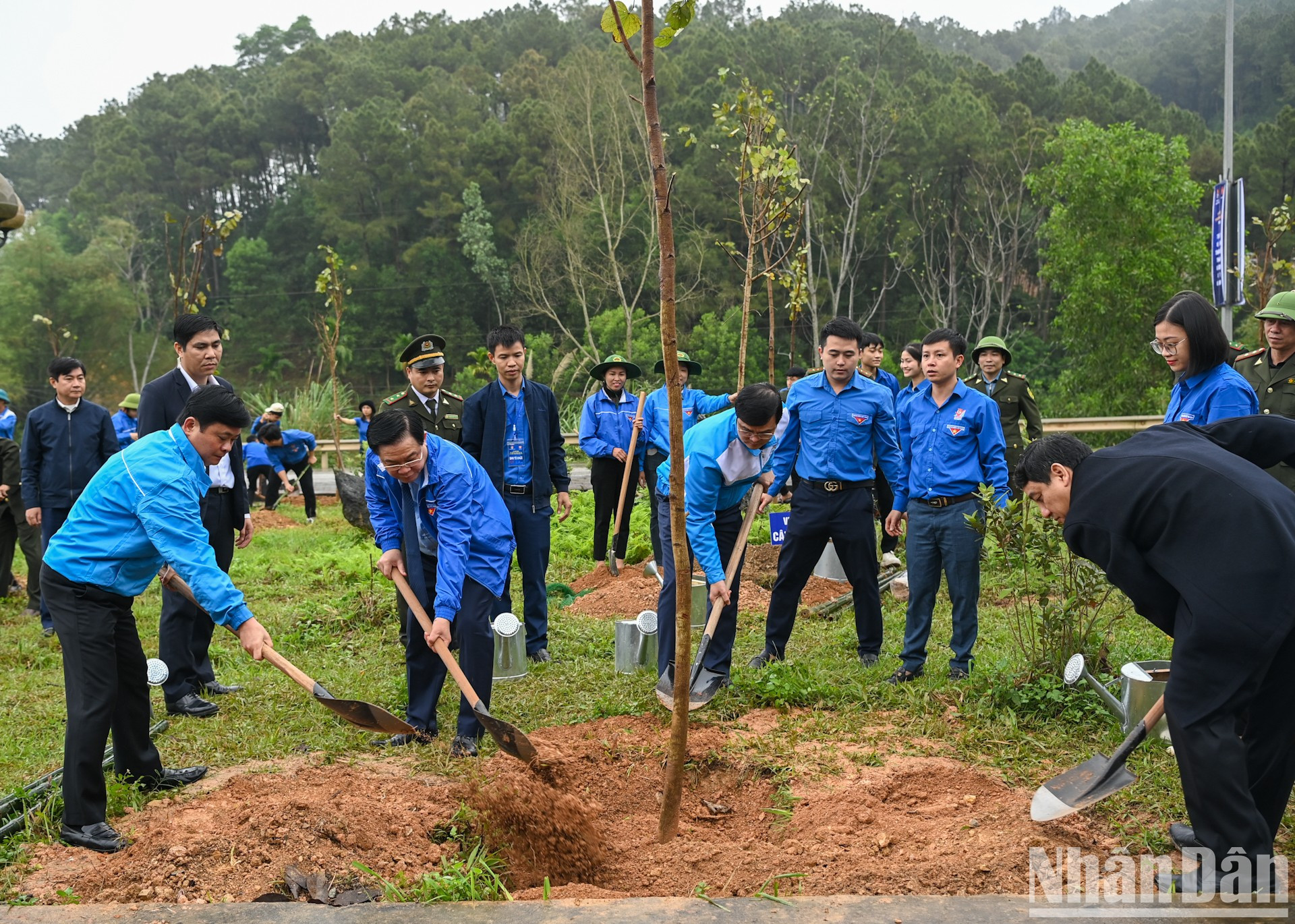 Dinh Hue y otros delegados plantan árboles en respuesta al Festival de siembra de árboles de primavera 2024.