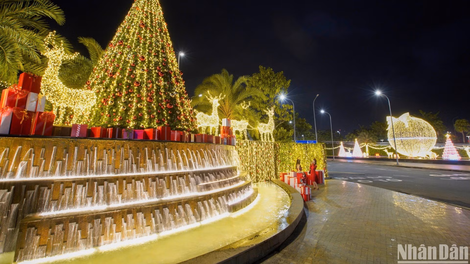 Muchos jóvenes capturan hermosos momentos en esta temporada navideña en el aeródromo. Muchos jóvenes capturan hermosos momentos en esta temporada navideña en el aeródromo.