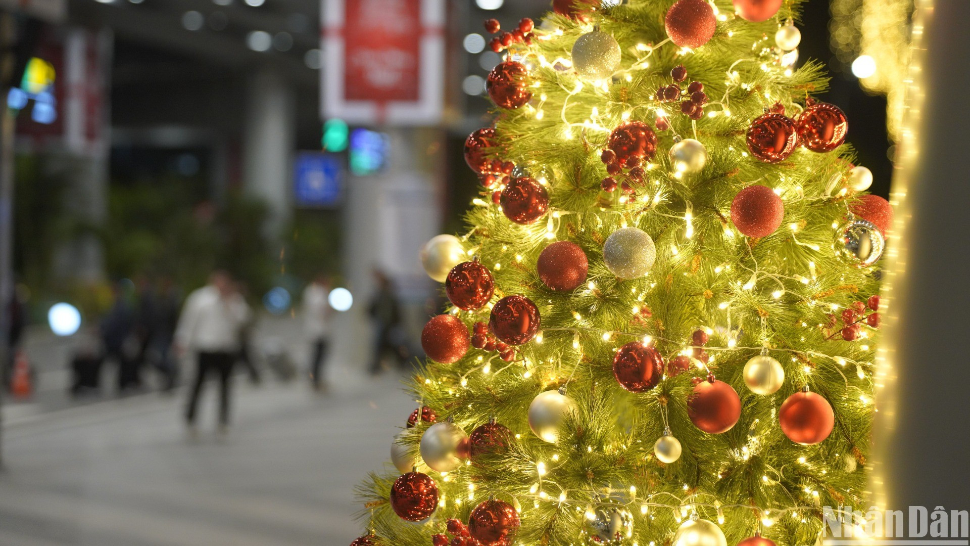 La sofisticación de la decoración de los racimos de pinos ofrece a los visitantes una sensación cálida. La sofisticación de la decoración de los racimos de pinos ofrece a los visitantes una sensación cálida.