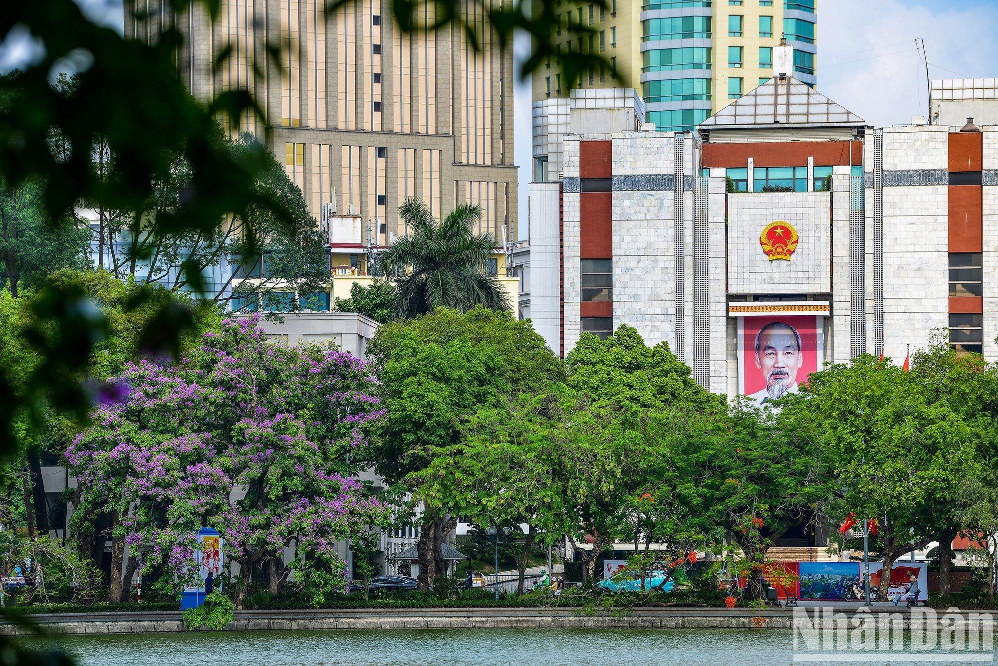 Las flores de bang lang se reflejan en el lago Hoan Kiem, creando un color púrpura suave y romántico en un espacio antiguo y tranquilo. Las flores de bang lang se reflejan en el lago Hoan Kiem, creando un color púrpura suave y romántico en un espacio antiguo y tranquilo.