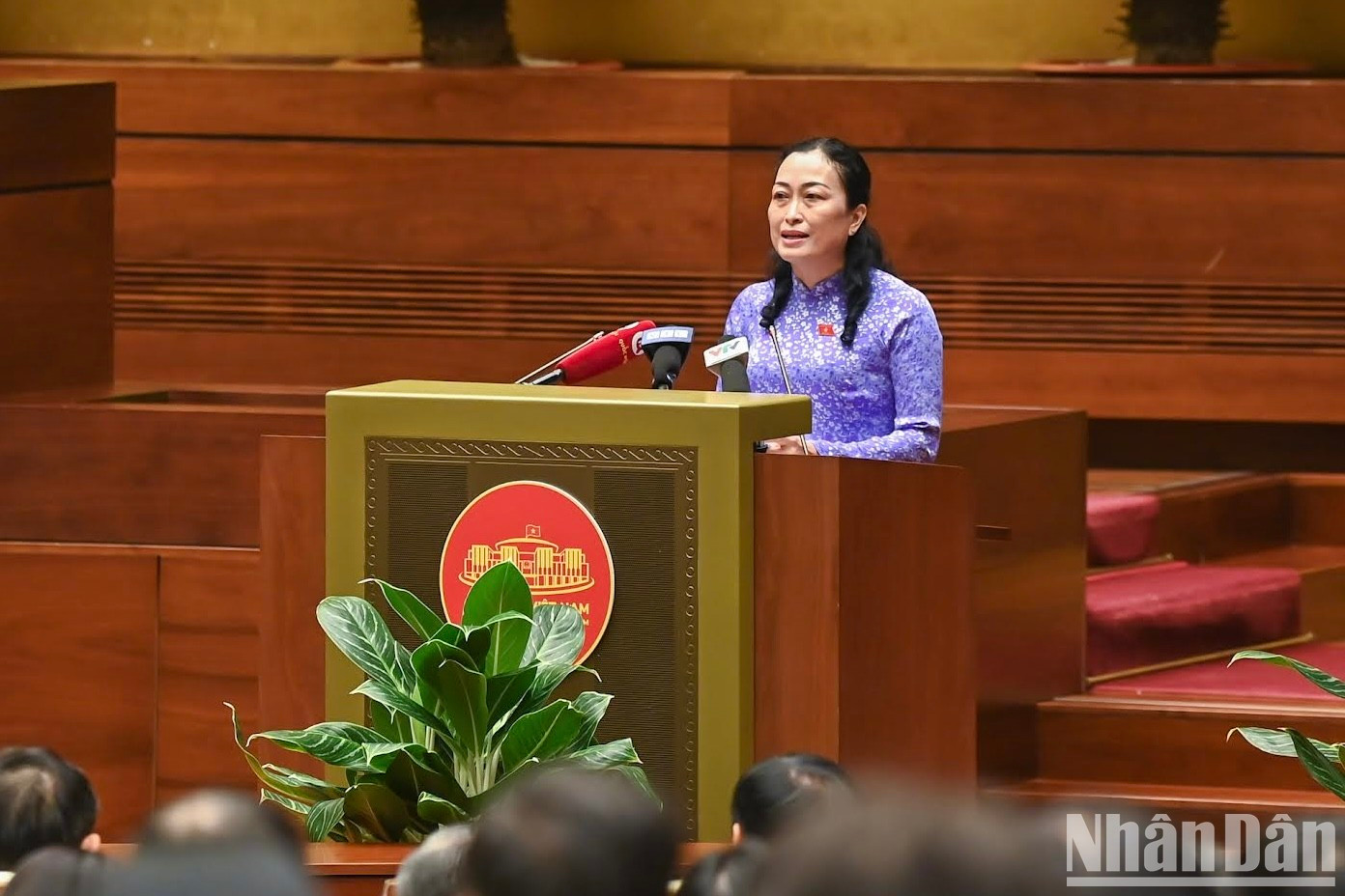Tran Thi Hoa Ry, vicepresidenta del Consejo de Asuntos Étnicos de la Asamblea Nacional, habla en el evento. Tran Thi Hoa Ry, vicepresidenta del Consejo de Asuntos Étnicos de la Asamblea Nacional, habla en el evento.