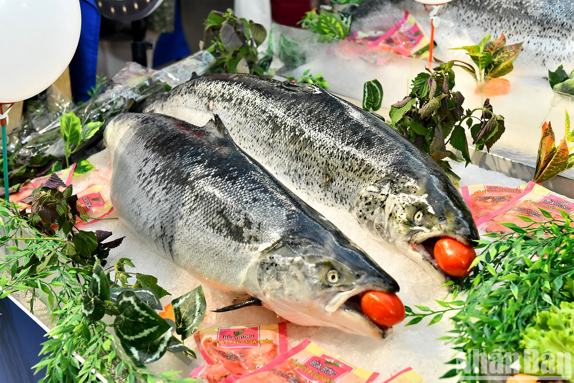 Para ofrecer un delicioso salmón fresco, Noruega adopta un enfoque holístico de la pesca y la acuicultura basado en el ecosistema, junto con una estricta normativa para proteger todas las especies en aguas noruegas. Para ofrecer un delicioso salmón fresco, Noruega adopta un enfoque holístico de la pesca y la acuicultura basado en el ecosistema, junto con una estricta normativa para proteger todas las especies en aguas noruegas.