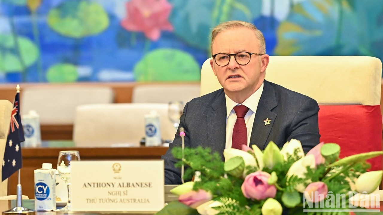 Albanese interviene en la cita. Albanese interviene en la cita.