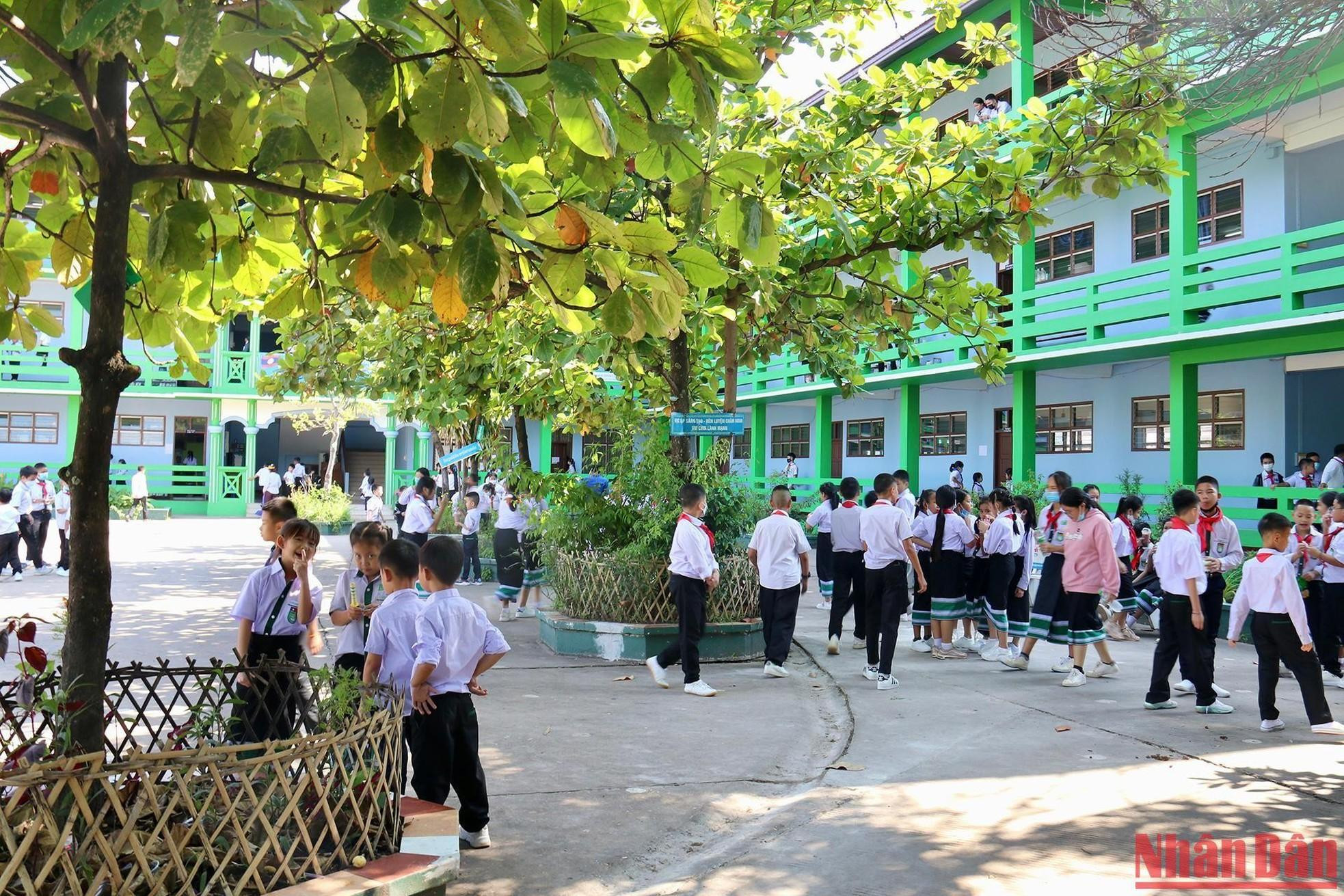 Los árboles dan sombra a los estudiantes durante el recreo. Los árboles dan sombra a los estudiantes durante el recreo.