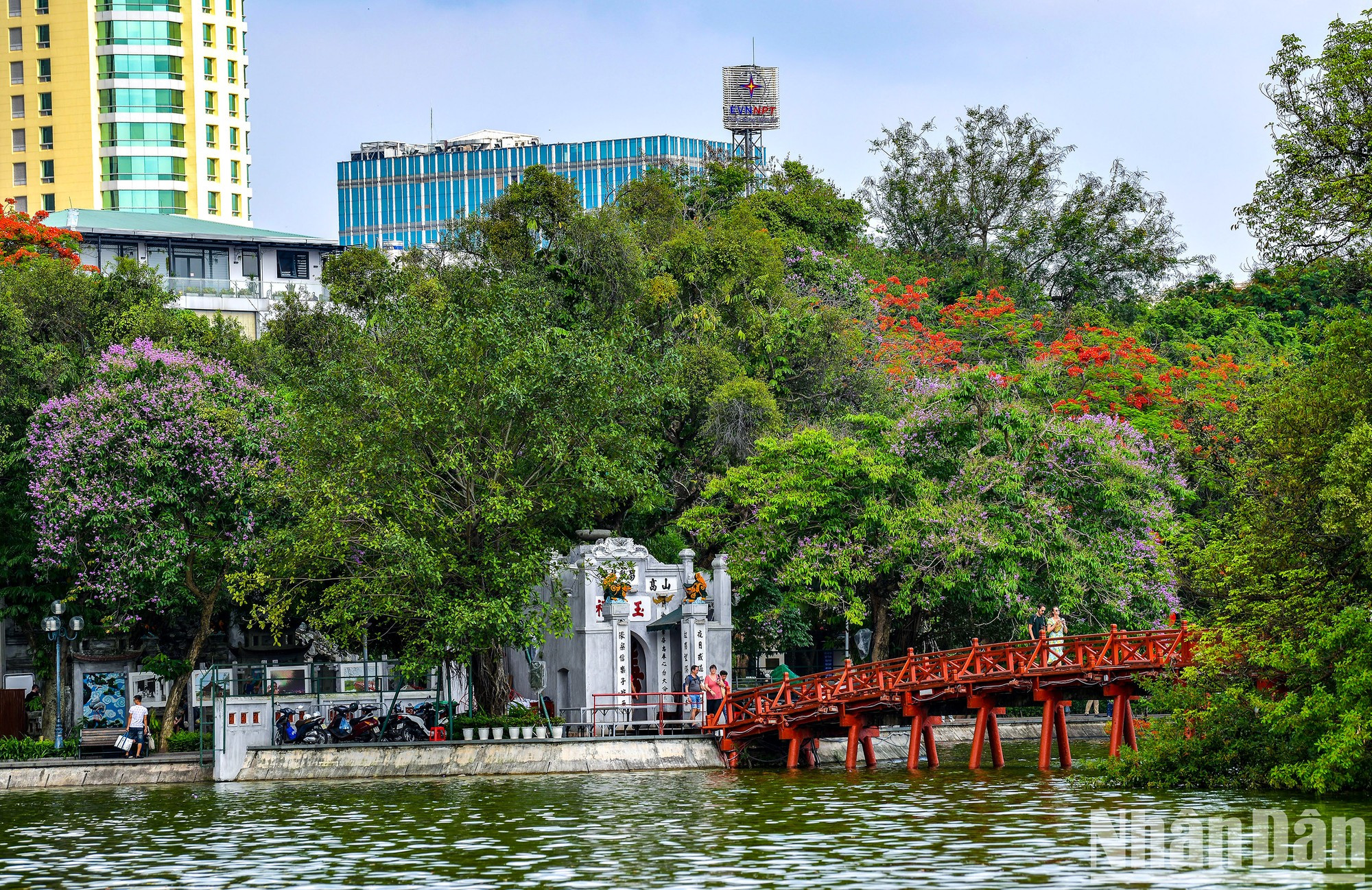 Las flores de bang lang y flamboyán brotan brillantemente junto al puente The Huc. Las flores de bang lang y flamboyán brotan brillantemente junto al puente The Huc.