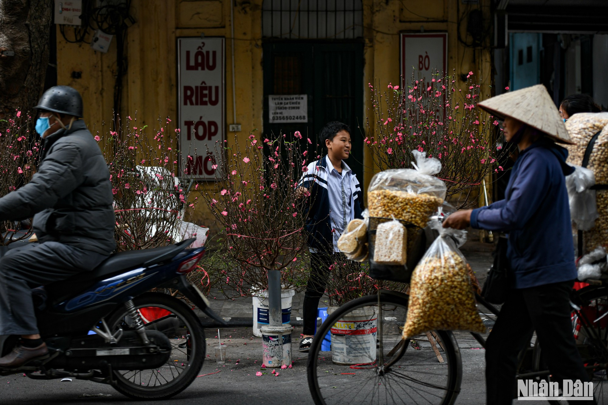 Los bonsáis de kumquat y las ramas de durazno se venden a lo largo de los caminos.