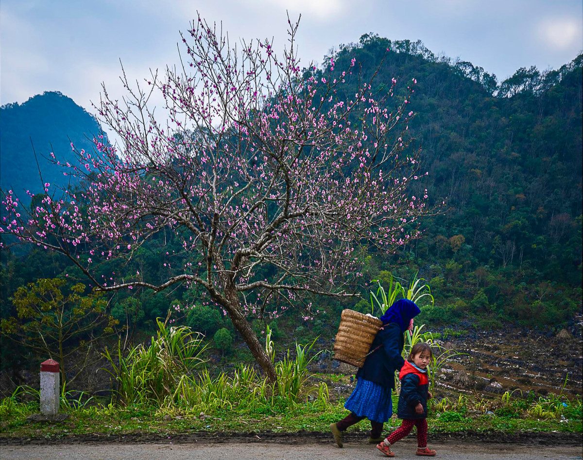 Madre e hijo en la temporada primaveral en Ha Giang.