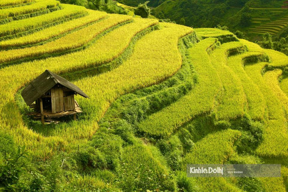 Mu Cang Chai es conocido como uno de los lugares con los campos en terrazas más bellos del mundo.