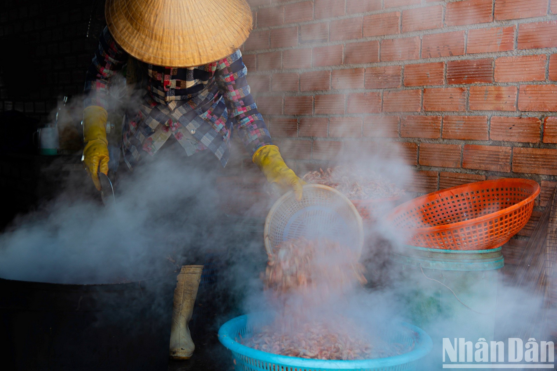 Procesamiento de camarones secos.
