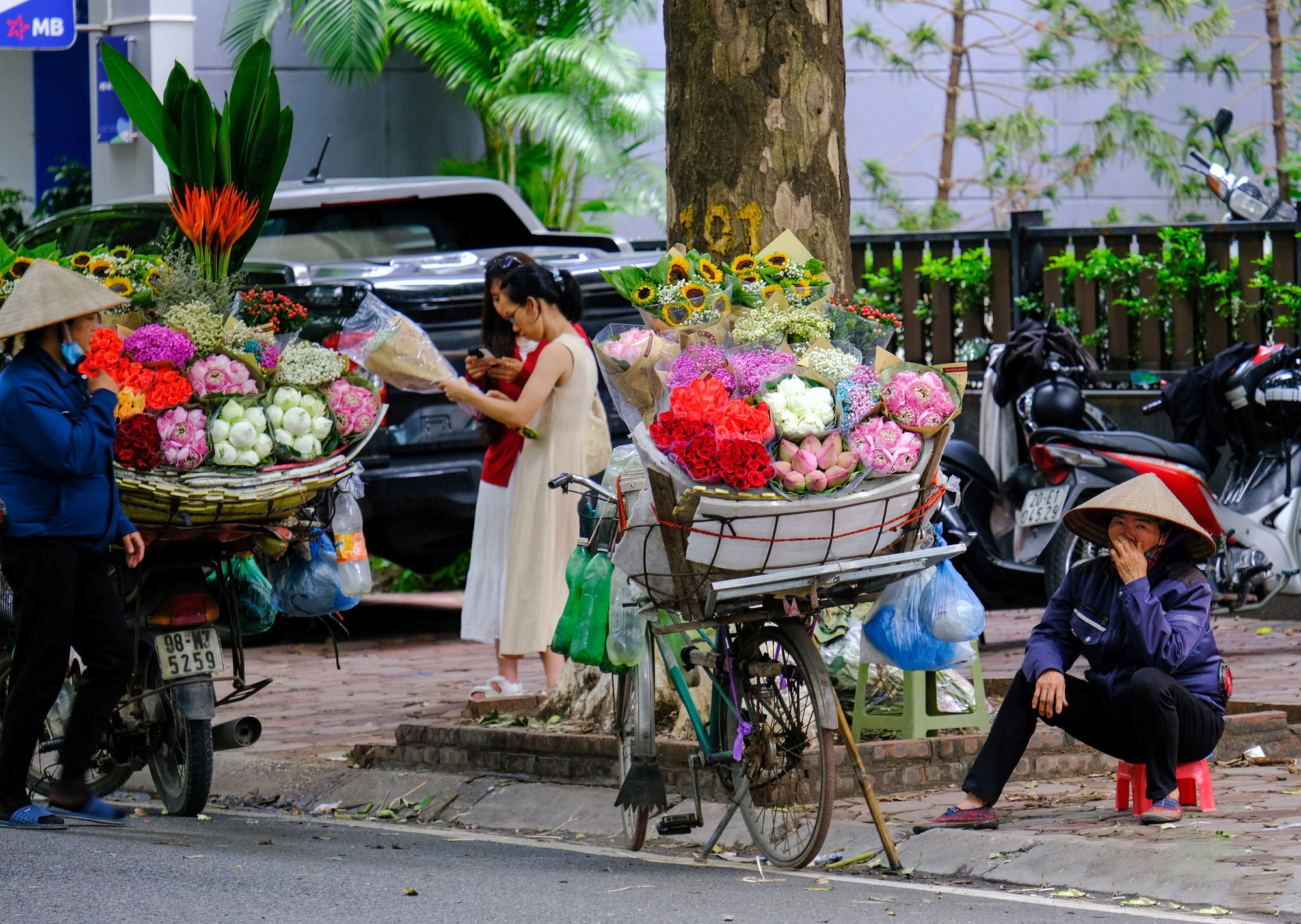 Quien pase por aquí acorta el paso para admirar las flores o se detiene para comprar un ramo o tomarse fotos con uno de los símbolos del otoño en Hanói. Quien pase por aquí acorta el paso para admirar las flores o se detiene para comprar un ramo o tomarse fotos con uno de los símbolos del otoño en Hanói.