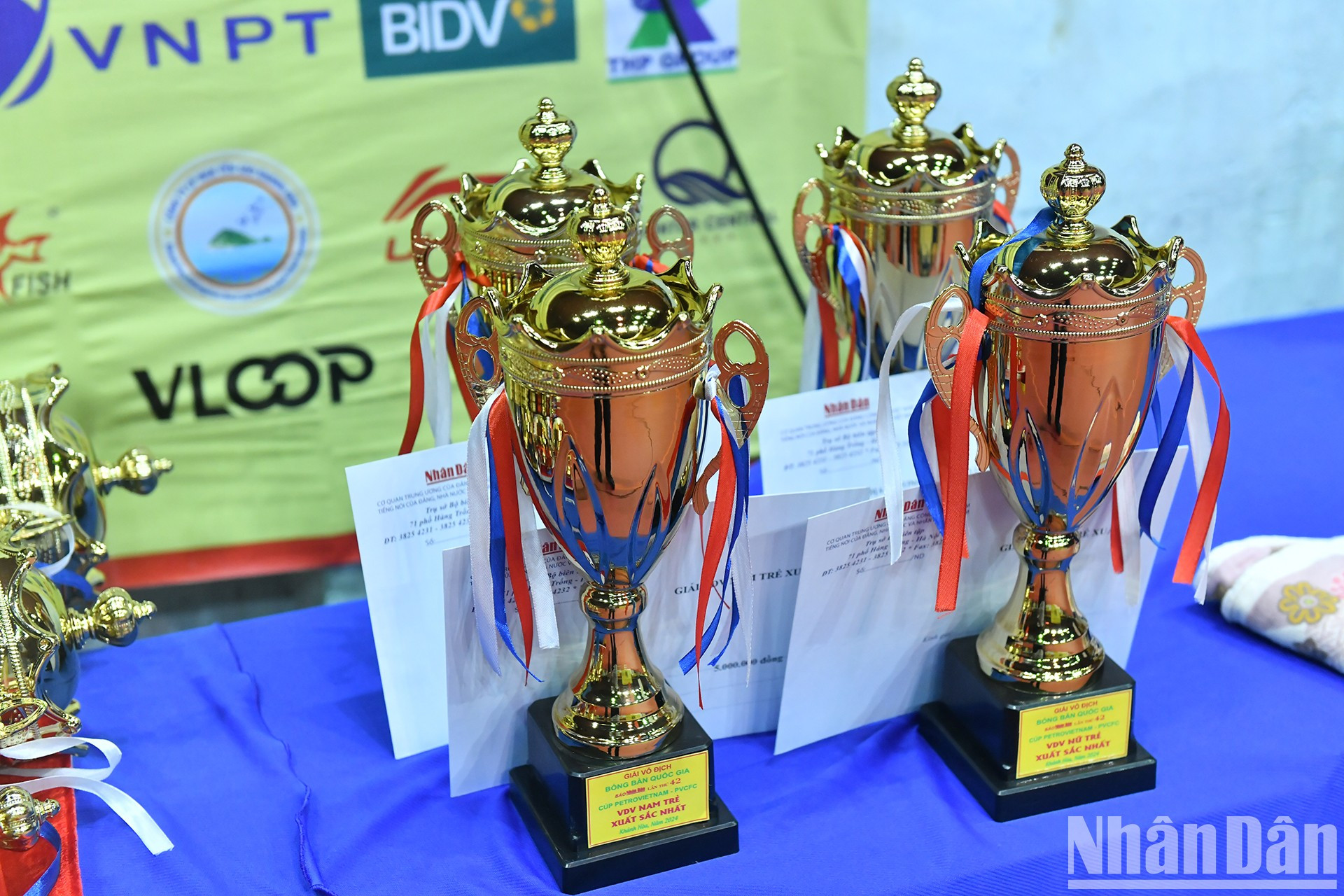 Trofeos del torneo. Trofeos del torneo.