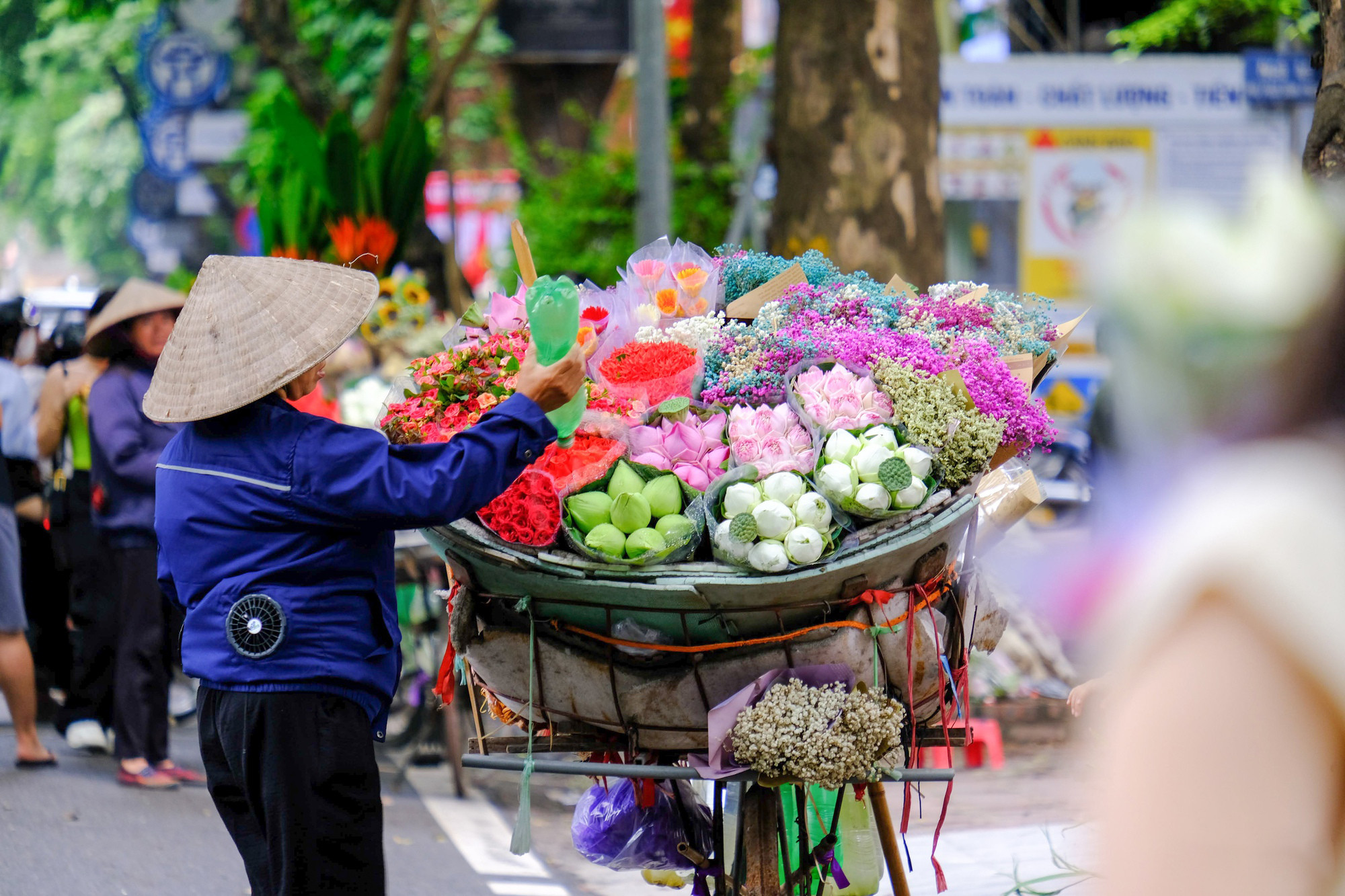 En agosto los lotos están en plena floración y por las calles de Hanói pueden verse las bicicletas llenas de flores de esta planta. En agosto los lotos están en plena floración y por las calles de Hanói pueden verse las bicicletas llenas de flores de esta planta.