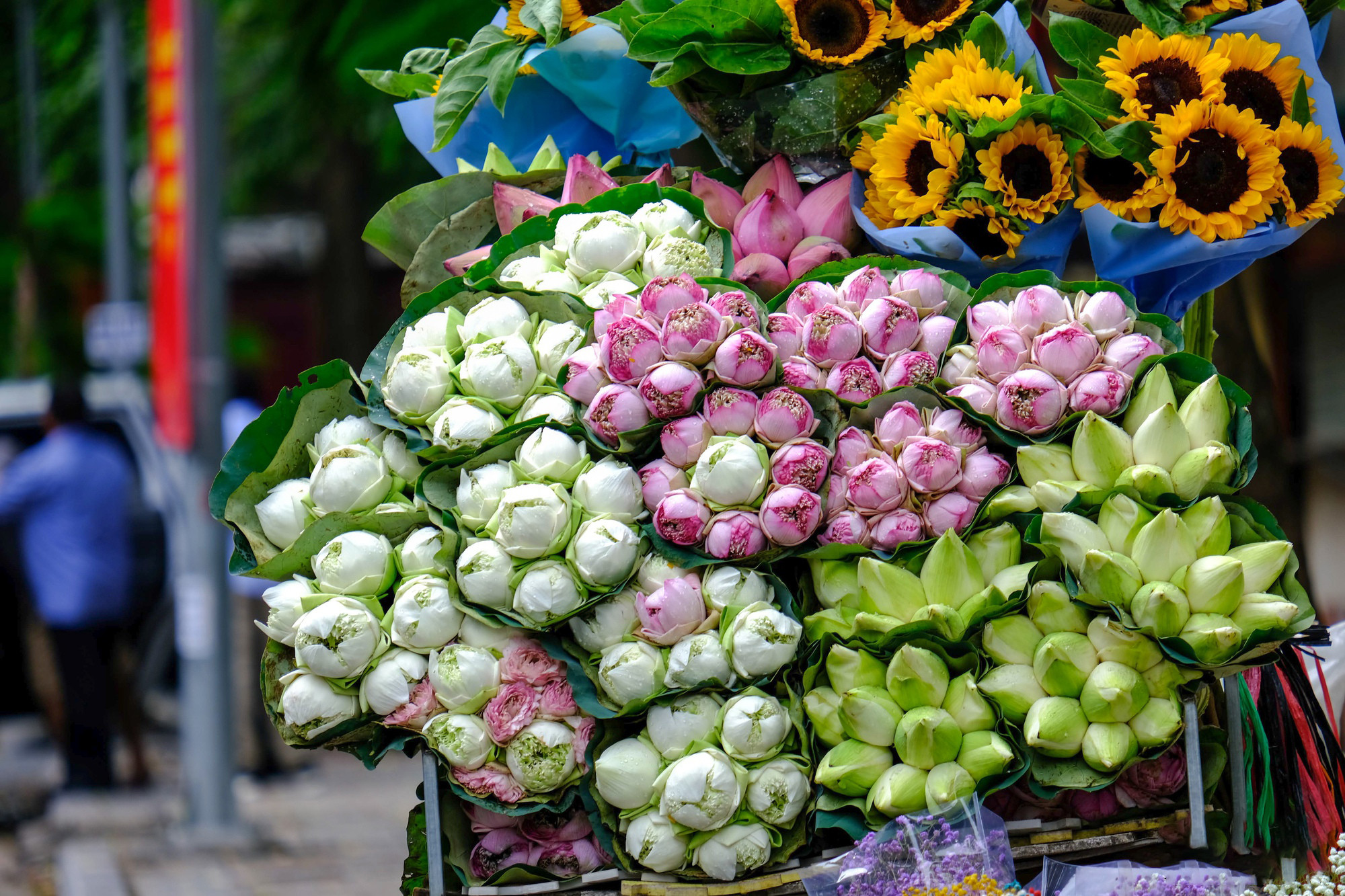 Los ramos de flores de loto de todo tipo en una bicicleta. Los ramos de flores de loto de todo tipo en una bicicleta.