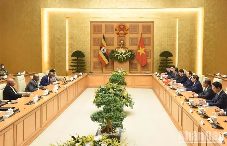 Panorama de la reunión. Panorama de la reunión.