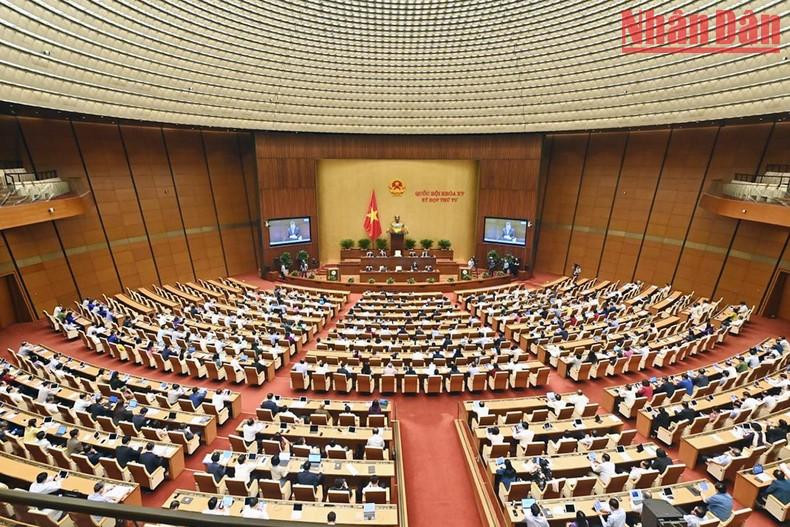 Panorama de la reunión. Panorama de la reunión.