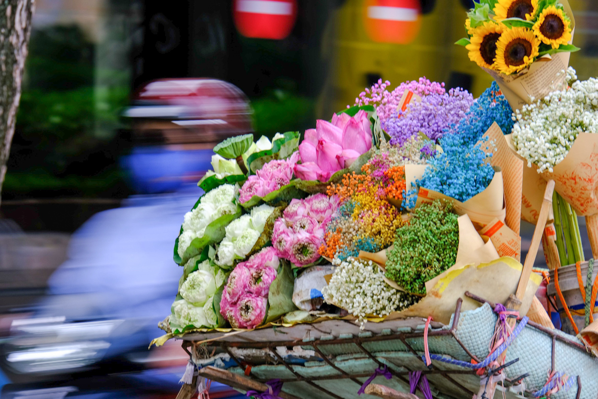 Docenas de variedades de flores se amontonan en una pequeña bicicleta. Docenas de variedades de flores se amontonan en una pequeña bicicleta.
