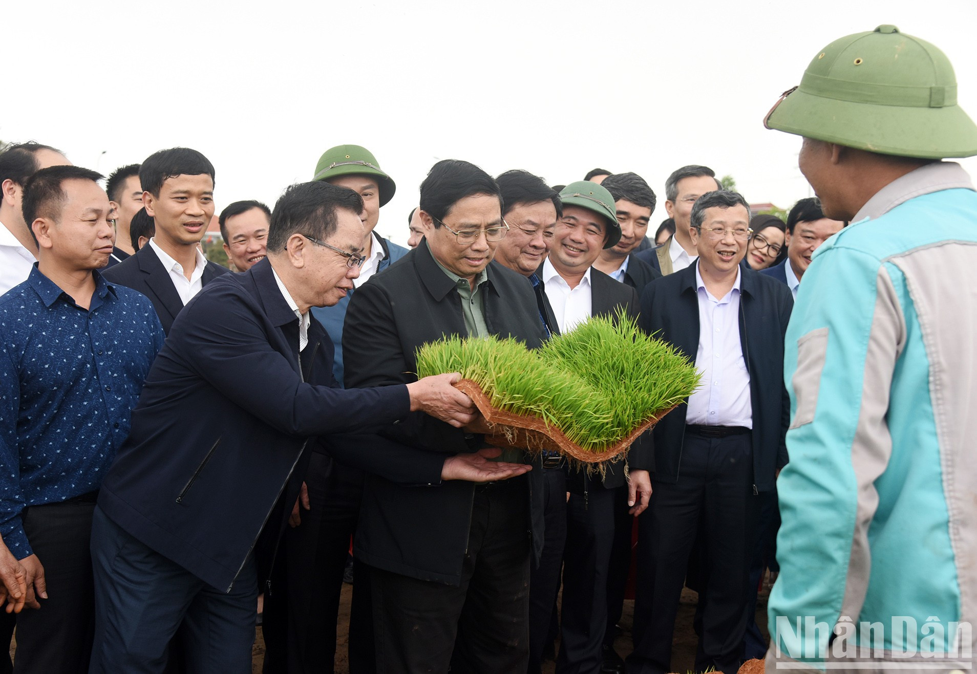 El premier visita la zona de producción de plántulas de arroz en bandejas y el arrozal sembrado mecánicamente.