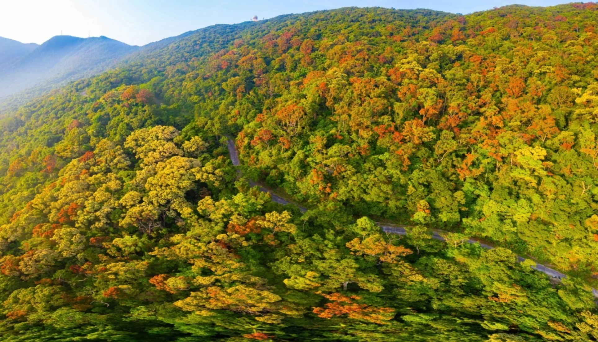 Península de Son Tra a vista de pájaro. Península de Son Tra a vista de pájaro.