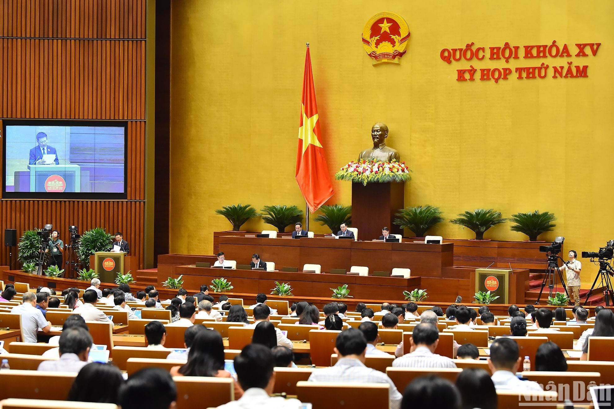 Escena de la sesión. Escena de la sesión.