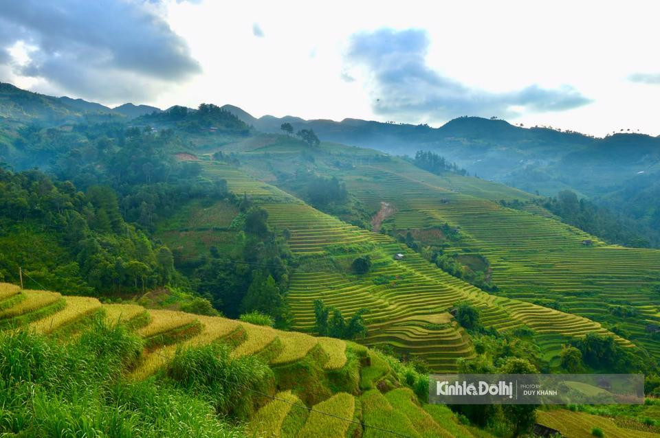 Muchos turistas vienen aquí para tomar fotos y guardar los bellos momentos de los campos en terrazas en la temporada de cosecha.