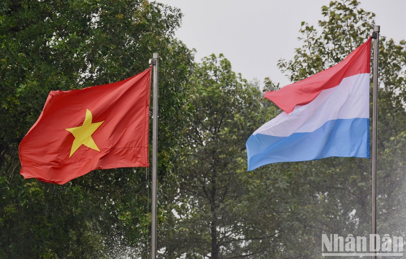 Banderas nacionales de Vietnam y Luxemburgo.