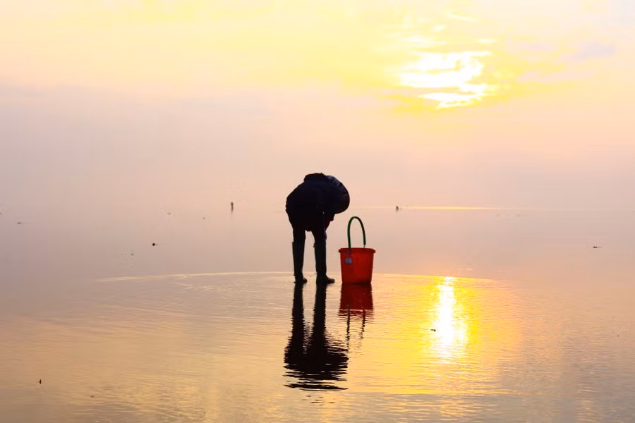 El "mar infinito" de Thuy Xuan es una playa aluvial de unos 7 kilómetros de largo. El "mar infinito" de Thuy Xuan es una playa aluvial de unos 7 kilómetros de largo.