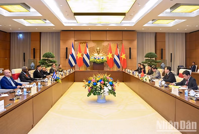 Vista de la reunión.