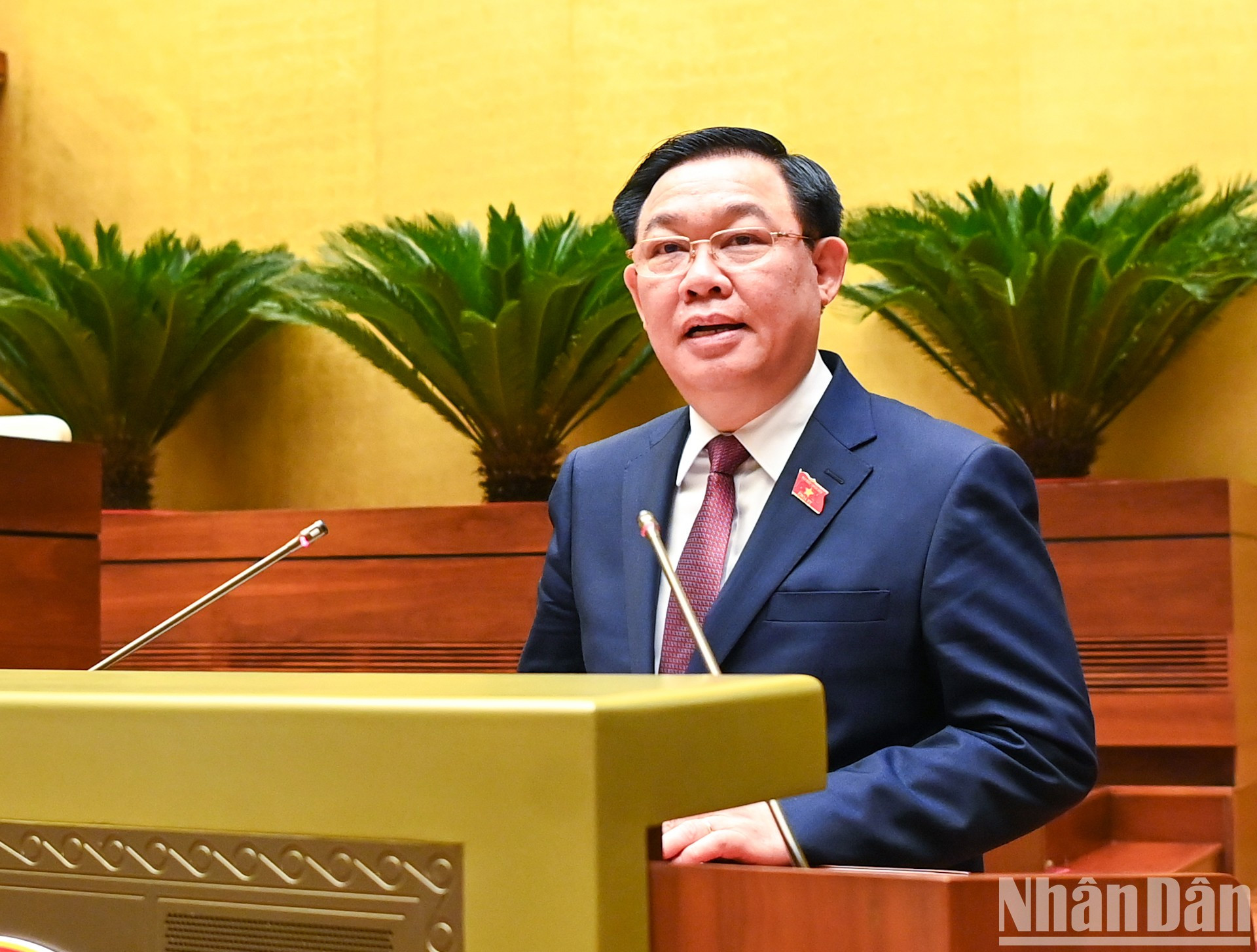 Dinh Hue interviene en el evento.