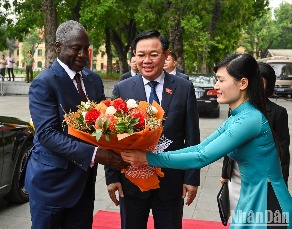 Miembro de la Oficina de la Asamblea Nacional de Vietnam entrega flores para dar la bienvenida al presidente legislativo de Costa de Marfil, Adama Bictogo. Miembro de la Oficina de la Asamblea Nacional de Vietnam entrega flores para dar la bienvenida al presidente legislativo de Costa de Marfil, Adama Bictogo.