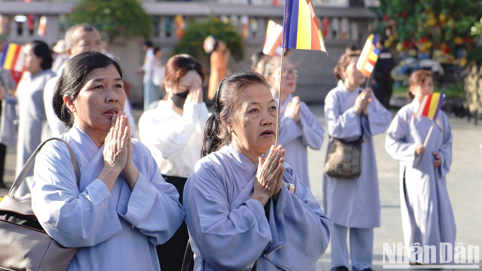 En el marco del evento se celebran diversas actividades, como la procesión de Buda, el desfile de carros florales y la veneración de las reliquias de Buda y el Corazón Eterno del Bodhisattva Thich Quang Duc, entre otras.