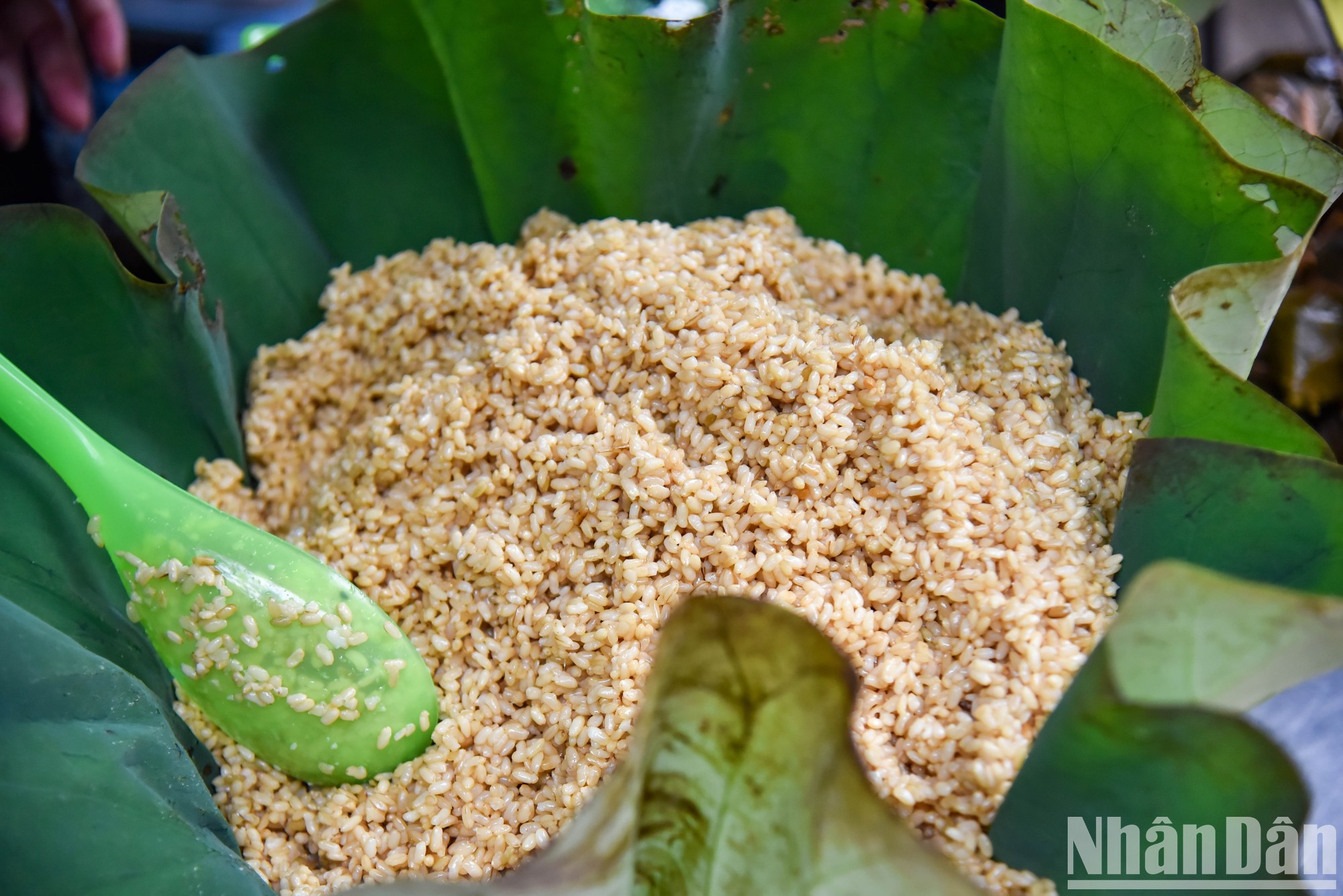 El ruou nep es un plato indispensable de los capitalinos durante el Tet de matanza de insectos. El ruou nep es un plato indispensable de los capitalinos durante el Tet de matanza de insectos.