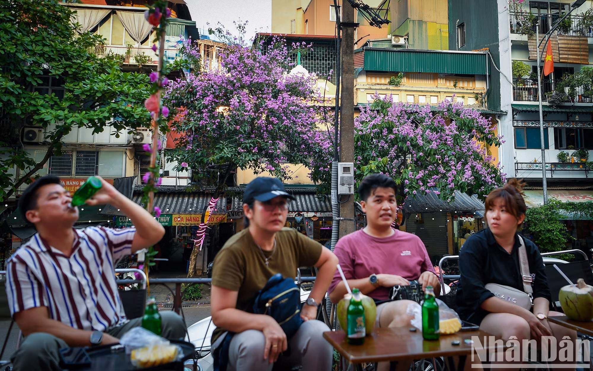 Los turistas se relajan en la calle Phung Hung al ver las flores de bang lang. Los turistas se relajan en la calle Phung Hung al ver las flores de bang lang.