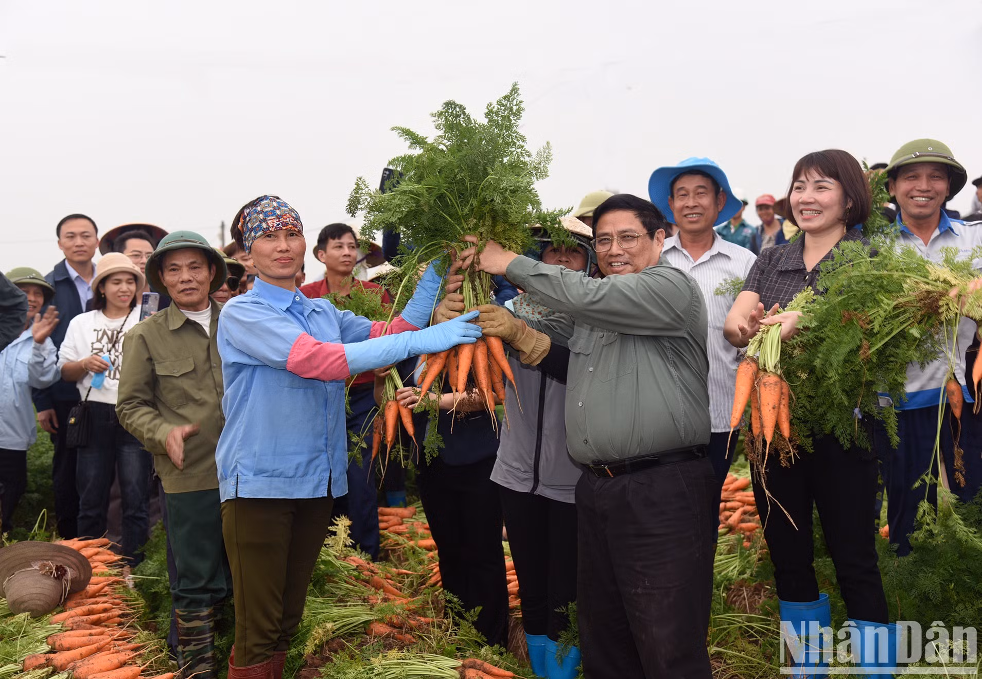 [Foto] Primer ministro visita modelos de producción agrícola de Hai Duong
