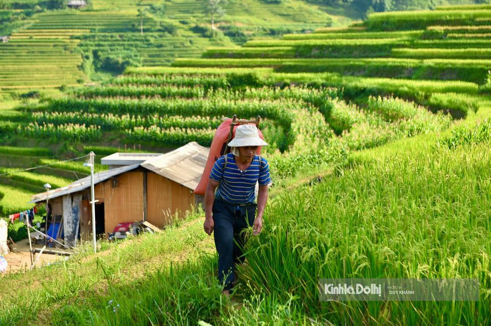 La gente local es muy amable y hospitalaria. Los visitantes tienen oportunidad de conocer la vida de las minorías étnicas.