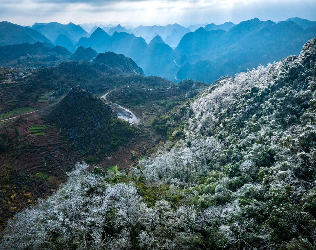 Una escena de un día de invierno vista desde la aldea de Lao Xa, comuna de Sung La, distrito de Dong Van, con una fina capa de hielo cubriendo los árboles.