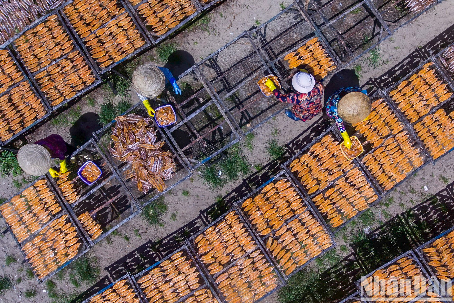 Además de vender productos del mar, los pescadores dedican tiempo a procesarlos y secarlos.